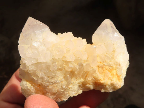 Natural White Cactus Flower Spirit Quartz Specimens x 12 From Boekenhouthoek, South Africa