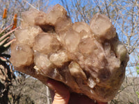 Natural Cascading Smokey Quartz Cluster  x 1 From Luena, Congo