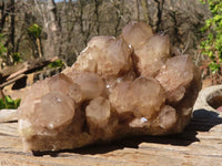 Natural Cascading Smokey Quartz Cluster  x 1 From Luena, Congo