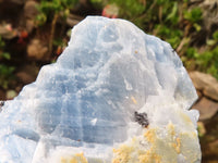 Natural New Sky Blue Calcite Specimens  x 12 From Spitzkoppe, Namibia - Toprock Gemstones and Minerals 