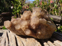 Natural Cascading Smokey Quartz Cluster  x 1 From Luena, Congo