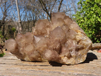 Natural Cascading Smokey Quartz Cluster  x 1 From Luena, Congo