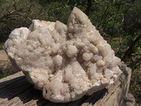 Natural Extra Large Pineapple Quartz Cluster  x 1 From Mandrosonoro, Madagascar - TopRock