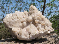 Natural Extra Large Pineapple Quartz Cluster  x 1 From Mandrosonoro, Madagascar - TopRock