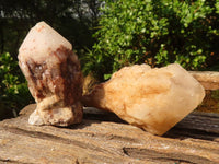 Natural Large Pineapple Candle Quartz Crystals  x 6 From Antsirabe, Madagascar - Toprock Gemstones and Minerals 