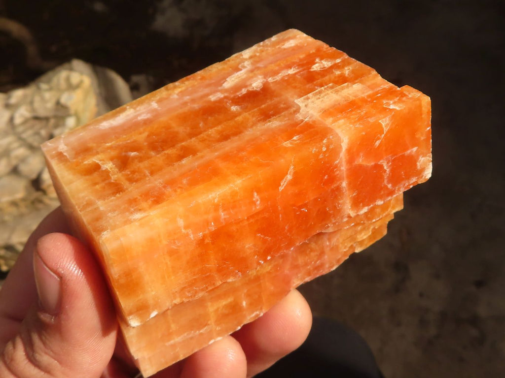 Sunny Orange Calcite Zuni Bear, 444 Grams selling