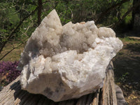 Natural Extra Large Pineapple Quartz Cluster  x 1 From Mandrosonoro, Madagascar - TopRock