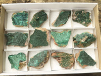 Natural Crystalline Malachite Plate Specimens  x 12 From Tenke Fungurume, Congo - TopRock