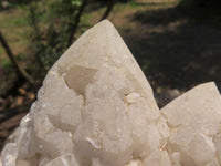 Natural Extra Large Pineapple Quartz Cluster  x 1 From Mandrosonoro, Madagascar - TopRock