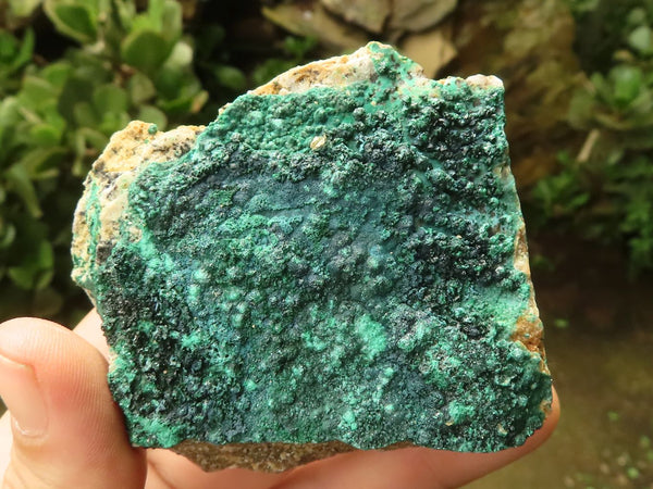 Natural Crystalline Malachite Plate Specimens  x 12 From Tenke Fungurume, Congo - TopRock