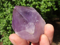 Polished Single Jacaranda Amethyst Crystals  x 9 From Mumbwa, Zambia - Toprock Gemstones and Minerals 