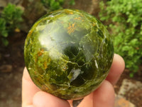 Polished Green Opal Spheres  x 3 From Madagascar - Toprock Gemstones and Minerals 