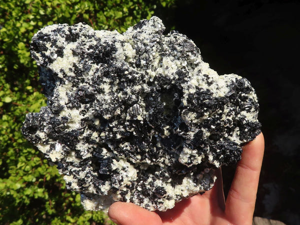 Natural Large Schorl Black Tourmaline Specimen x 2 From Erongo, Namibia