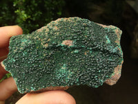 Natural Crystalline Malachite Plate Specimens  x 12 From Tenke Fungurume, Congo - TopRock