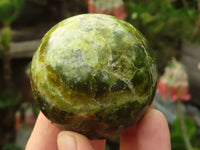 Polished Green Opal Spheres  x 3 From Madagascar - Toprock Gemstones and Minerals 