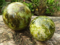 Polished Green Opal Spheres  x 3 From Madagascar - Toprock Gemstones and Minerals 