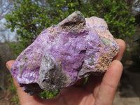 Natural Rough Stichtite & Serpentine Specimens x 5 From Barberton, South Africa