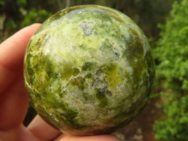 Polished Green Opal Spheres  x 3 From Madagascar - Toprock Gemstones and Minerals 