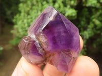 Polished Gorgeous Selection Of Wonderland Amethyst Crystals  x 17 From Madagascar - TopRock