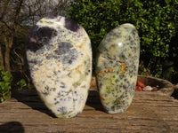 Polished Dendritic Opal Standing Free Forms x 2 From Moralambo, Madagascar