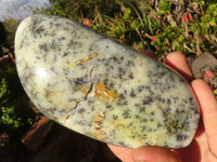 Polished Dendritic Opal Standing Free Forms x 2 From Moralambo, Madagascar