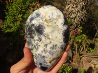 Polished Dendritic Opal Standing Free Forms x 2 From Moralambo, Madagascar