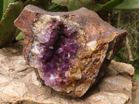 Natural Amethyst Centred Geodes  x 2 From Zululand, South Africa - TopRock