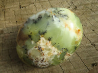 Polished Dendritic Opal Palm Stones  x 12 From Madagascar - Toprock Gemstones and Minerals 