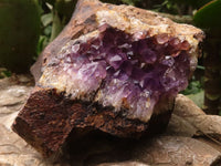 Natural Amethyst Centred Geodes  x 2 From Zululand, South Africa - TopRock