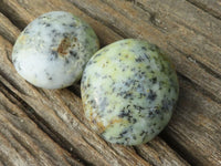 Polished Dendritic Opal Palm Stones  x 12 From Madagascar - Toprock Gemstones and Minerals 