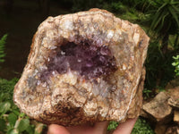 Natural Amethyst Centred Geodes  x 2 From Zululand, South Africa - TopRock