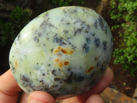 Polished Dendritic Opal Palm Stones  x 12 From Madagascar - Toprock Gemstones and Minerals 