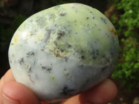 Polished Dendritic Opal Palm Stones  x 12 From Madagascar - Toprock Gemstones and Minerals 