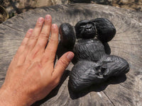 Polished Resting Gorilla Soapstone Carving  x 1 From Zimbabwe - TopRock