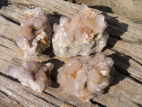 Natural Spirit Cactus Quartz Clusters x 4 From Boekenhouthoek, South Africa