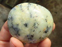 Polished Dendritic Opal Palm Stones  x 12 From Madagascar - Toprock Gemstones and Minerals 