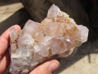 Natural Spirit Cactus Quartz Clusters x 4 From Boekenhouthoek, South Africa