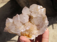 Natural Spirit Cactus Quartz Clusters x 4 From Boekenhouthoek, South Africa