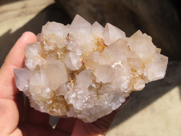 Natural Spirit Cactus Quartz Clusters x 4 From Boekenhouthoek, South Africa