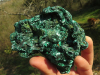 Natural Chatoyant Silky Malachite Specimens  x 6 From Kasompe, Congo - TopRock