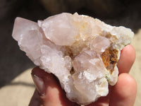 Natural Spirit Cactus Quartz Clusters x 4 From Boekenhouthoek, South Africa