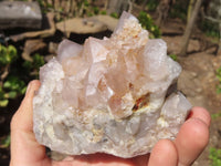 Natural Spirit Cactus Quartz Clusters x 4 From Boekenhouthoek, South Africa