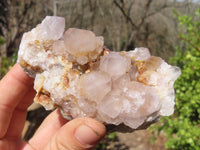 Natural Spirit Cactus Quartz Clusters x 4 From Boekenhouthoek, South Africa