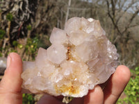 Natural Spirit Cactus Quartz Clusters x 4 From Boekenhouthoek, South Africa