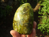 Polished Green Opal Standing Free Forms  x 4 From Madagascar - Toprock Gemstones and Minerals 