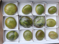 Polished Green Opal Palm Stones  x 12 From Madagascar - TopRock