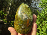 Polished Green Opal Standing Free Forms  x 4 From Madagascar - Toprock Gemstones and Minerals 