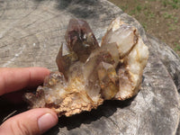 Natural Red Hematoid Quartz Crystals  x 6 From Karoi, Zimbabwe - TopRock