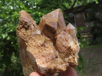 Natural Red Hematoid Quartz Crystals  x 6 From Karoi, Zimbabwe - TopRock