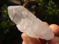 Natural Etched Clear Quartz Crystals  x 35 From Mpika, Zambia - Toprock Gemstones and Minerals 